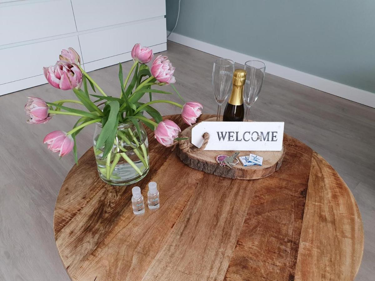 Studio Noordzee Zandvoort Ngoại thất bức ảnh